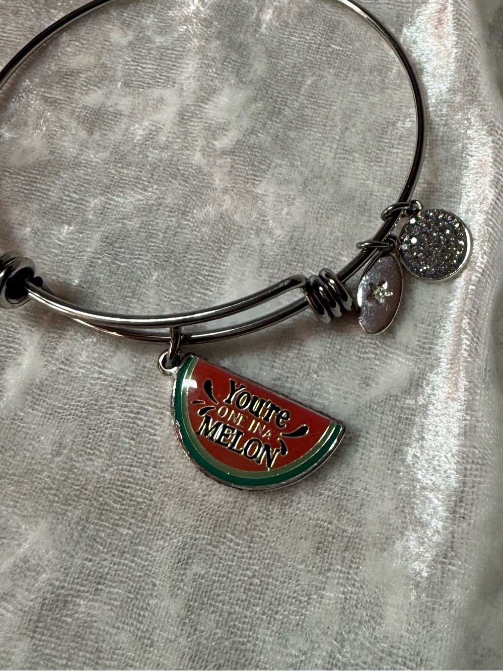 Unwritten Watermelon Charm Bangle Bracelet Silver Tone You’re One in a Melon
